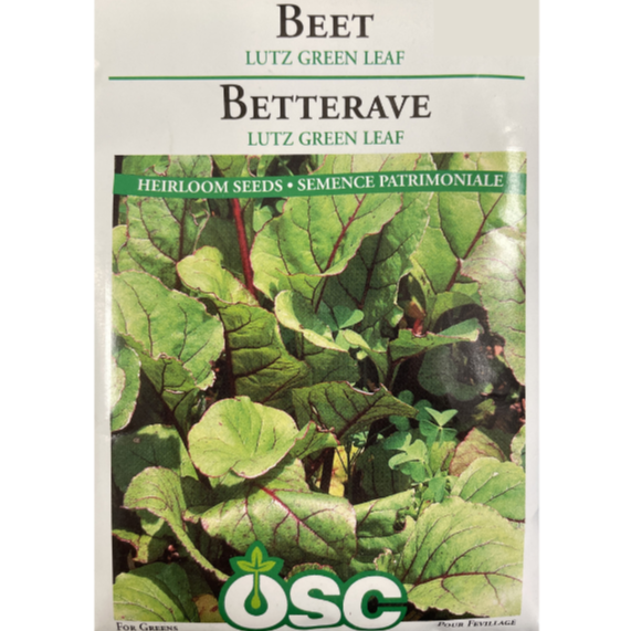 OSC Seeds Beet Lutz Green Leaf Pkg.