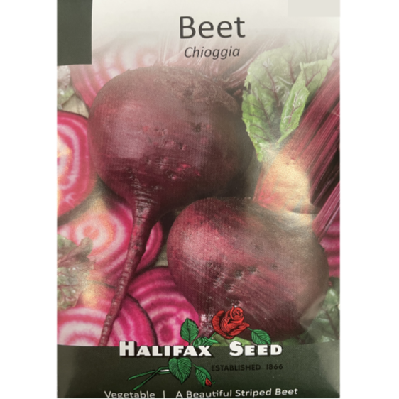 Halifax Seed Beet Chioggia Pkg.