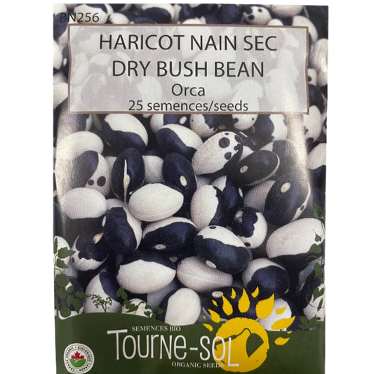 Tourne-Sol Bean Dry Bush Orca Pkg.