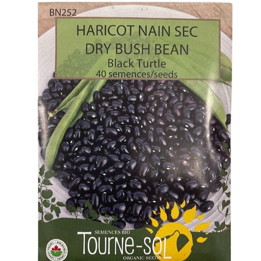 Tourne-Sol Bean Dry Bush Black Turtle Pkg.