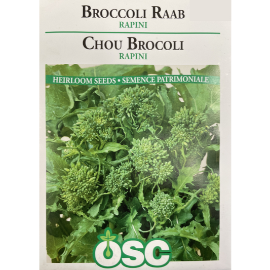 OSC Seeds Broccoli Raab Rapini Pkg.