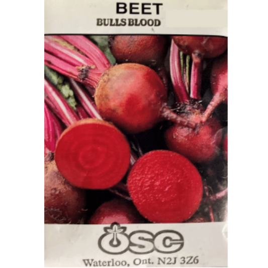 OSC Seeds Beet Bull's Blood Pkg.