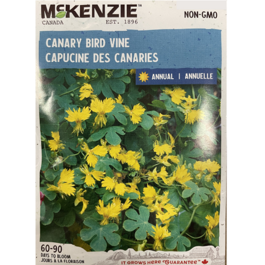 McKenzie Seed Canary Bird Vine Pkg