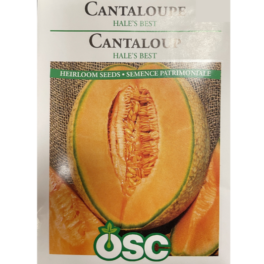 OSC Seeds Cantaloupe Hale's Best Pkg.