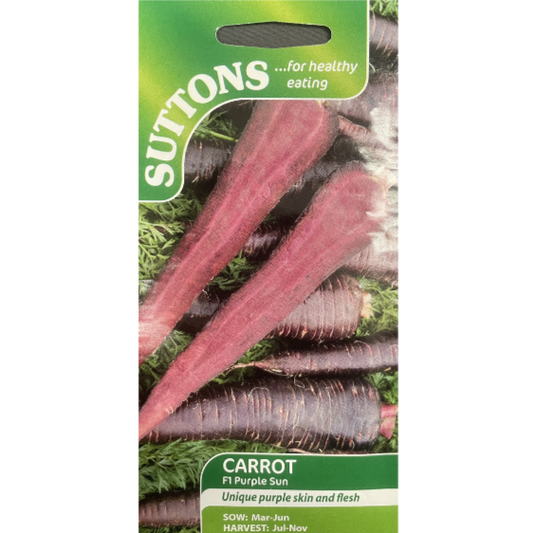 Suttons Seed Carrot Purple Sun Pkg.