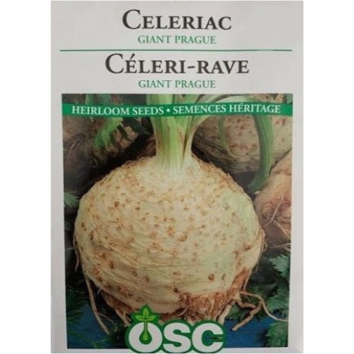 OSC Herb Seeds Celeriac Giant Prague Pkg.