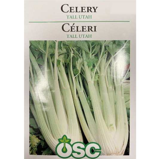 OSC Seeds Celery Tall Utah Pkg.