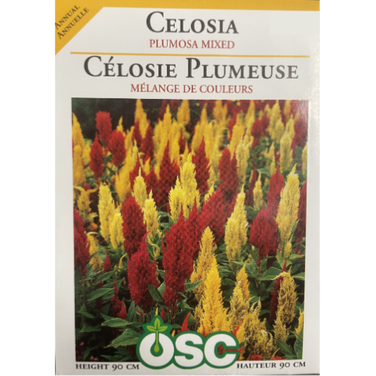 OSC Seeds Celosia Plumosa Mixed Pkg.