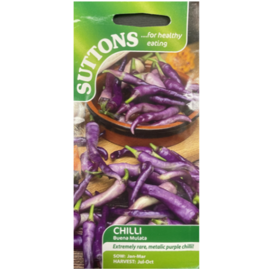 Suttons Seed Chilli Buena Mulata Pkg.