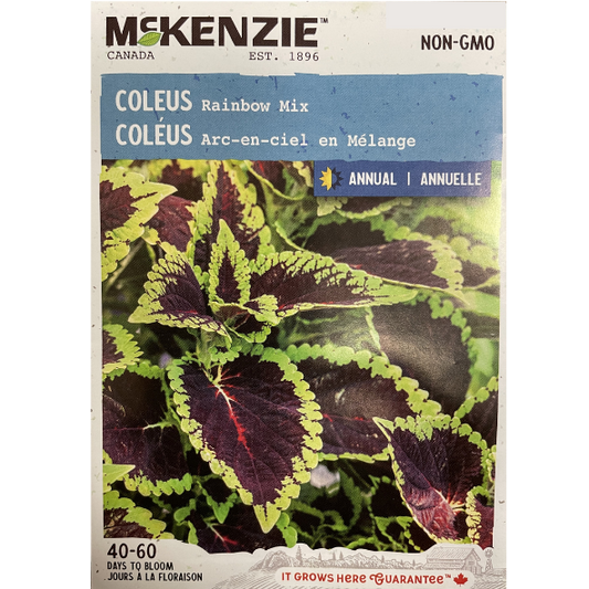 McKenzie Seed Coleus Rainbow Mix Pkg.