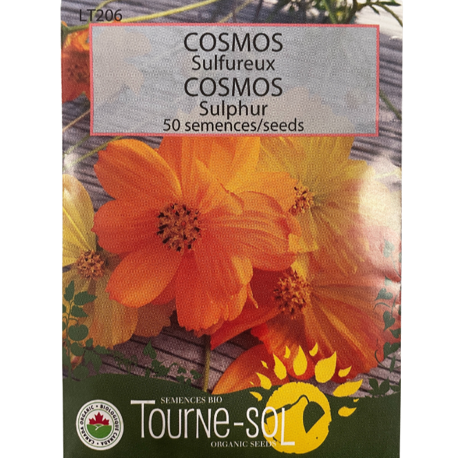 Tourne-Sol Cosmos Sulphur Pkg.