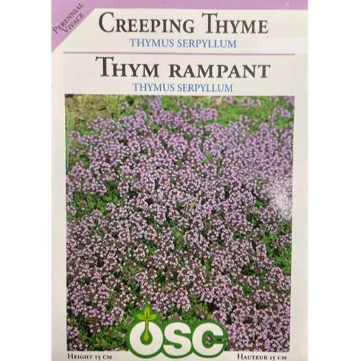 OSC Seeds Creeping Thyme Pkg.