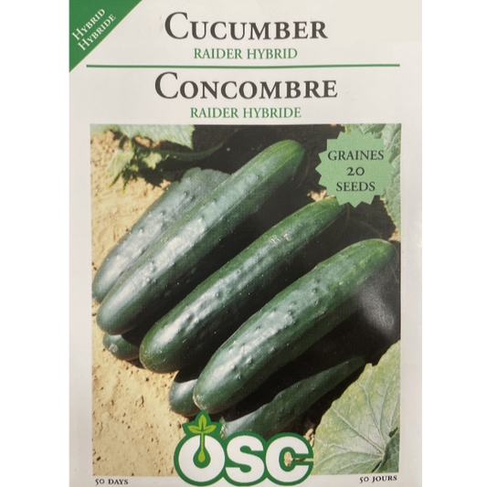 OSC Seeds Cucumber Raider Hybrid Pkg.