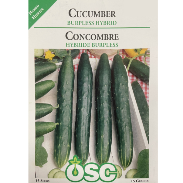 OSC Seeds Cucumber Burpless Hybrid Pkg.