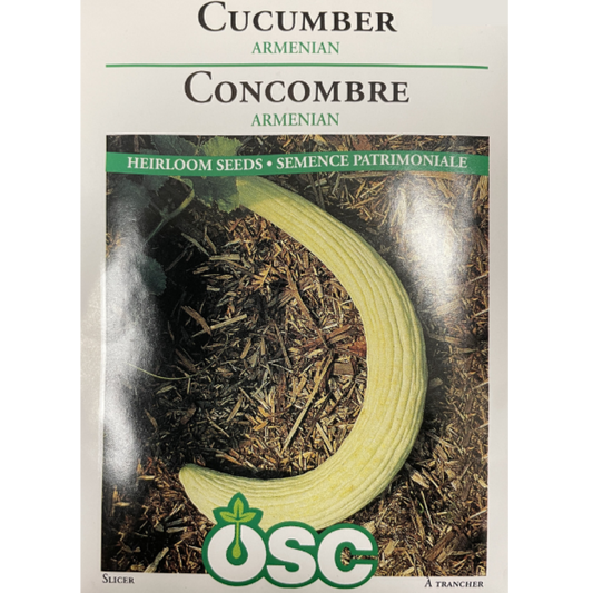 OSC Seeds Cucumber Armenian Pkg.