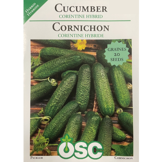 OSC Seeds Cucumber Corentine Hybrid Pkg.