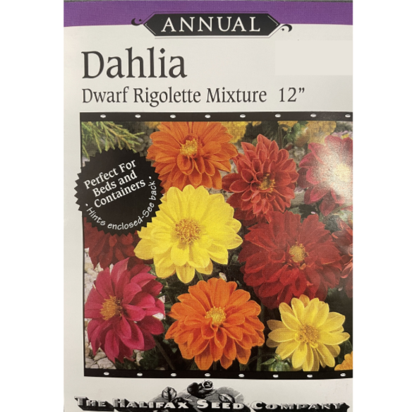 Halifax Seed Dahlia Dwarf Rigolette Mixture 12" Pkg.