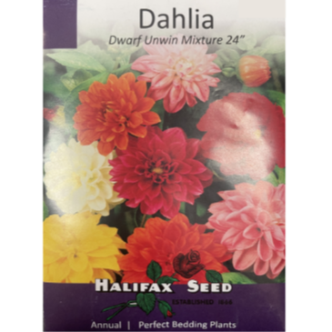 Halifax Seed Dahlia Dwarf Unwin Mixture 24"