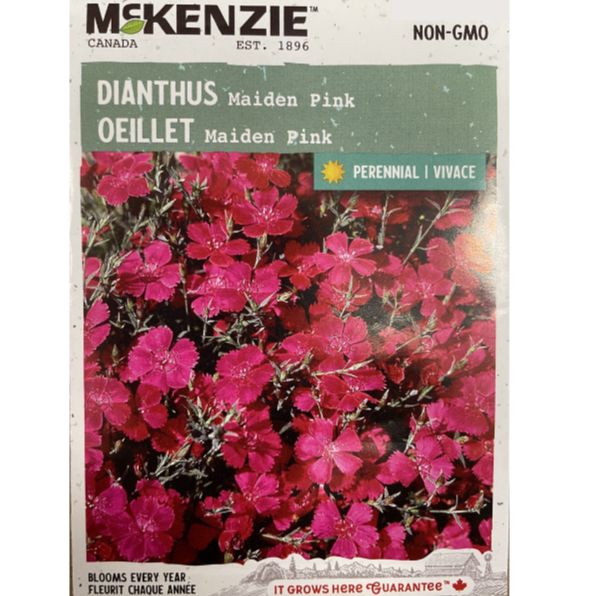 McKenzie Seed Dianthus Maiden Pink Pkg