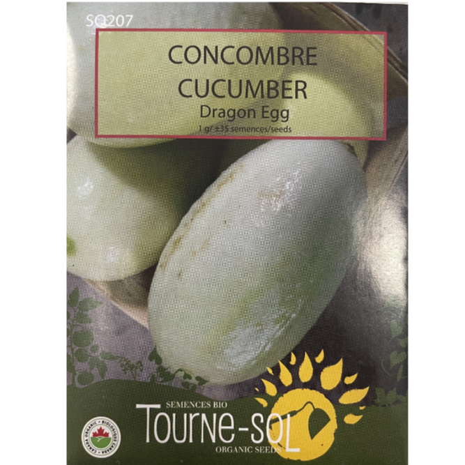 Tourne-Sol Cucumber Dragon Egg Pkg.