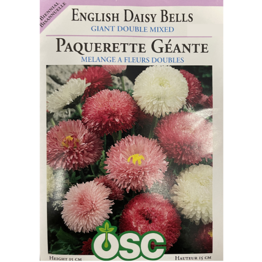 OSC Seeds Daisy English Bells Pkg.