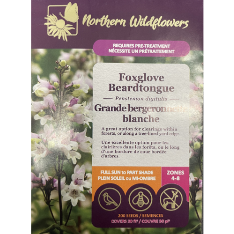 Northern Wildflowers Foxglove Beardtongue Pkg.