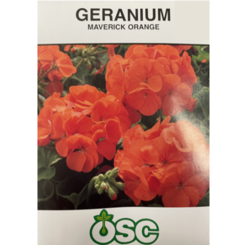 OSC Seeds Geranium Maverick Orange Pkg.