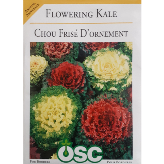 OSC Seeds Kale Flowering Pkg.