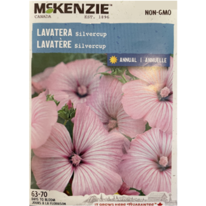 McKenzie Seed Lavatera Silvercup Pkg