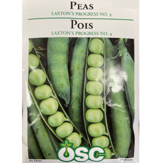 OSC Seeds Peas Laxton's Progress No.9