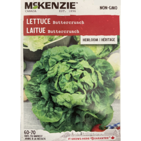 McKenzie Seed Lettuce Buttercrunch Pkg.