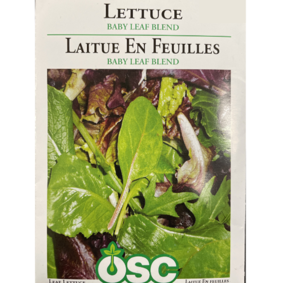 OSC Seeds Lettuce Baby Leaf Blend Pkg