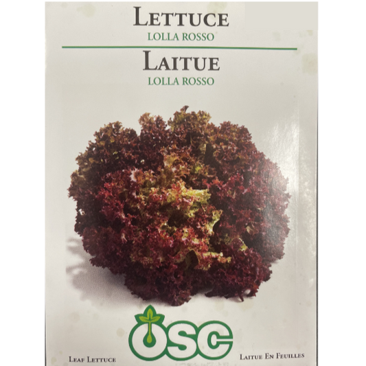 OSC Seeds Lettuce Lolla Rosso Pkg.