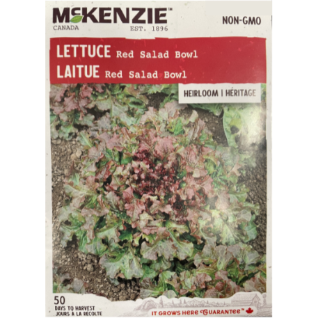 McKenzie Seed Lettuce Red Salad Bowl Pkg.