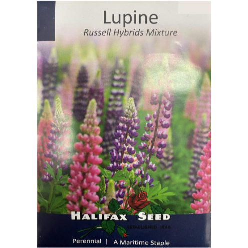 Halifax Seed Lupine Russell Hybrids Mixture Pkg.