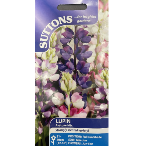 Suttons Seed Lupin Avalune Mix Pkg.