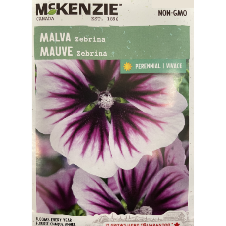 McKenzie Seed Malva Zebrina Pkg