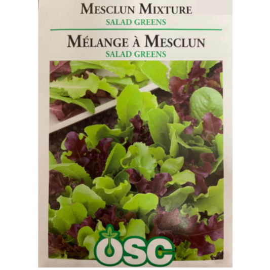 OSC Seeds Mesclun Mixture Salad Greens Pkg.