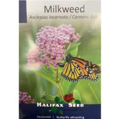 Halifax Seed Milkweed Carmine Rose Pkg.