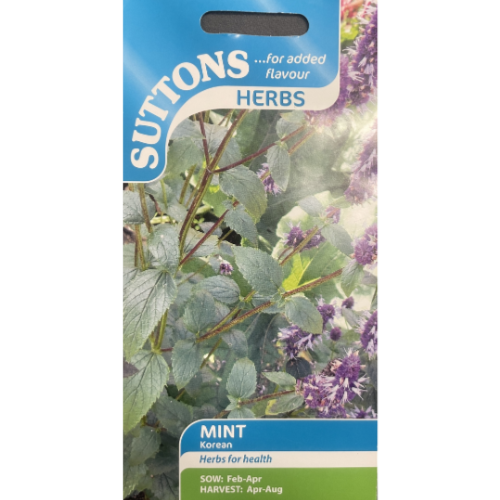 Suttons Seed Mint Korean Pkg.