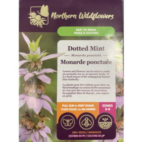 Northern Wildflowers Dotted Mint Pkg.