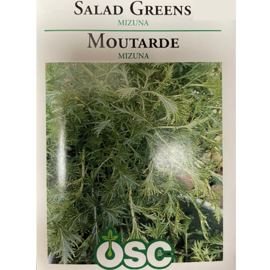 OSC Seeds Mizuna Salad Greens Pkg.