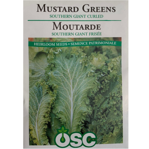 OSC Seeds Mustard Greens Southern Giant Curled Pkg.