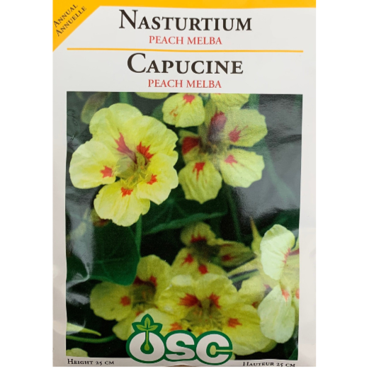 OSC Seeds Nasturtium Peach Melba Pkg.