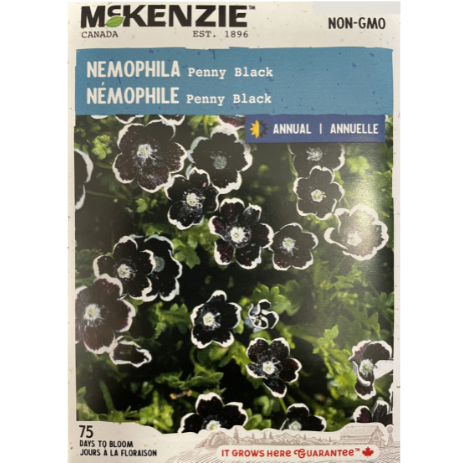 McKenzie Seed Nemophila Penny Black Pkg