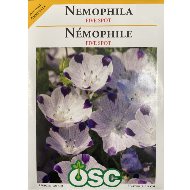 OSC Seeds Nemophila Five Spot Pkg.