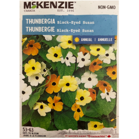 McKenzie Seed Thunbergia Black-Eyed Susan Pkg