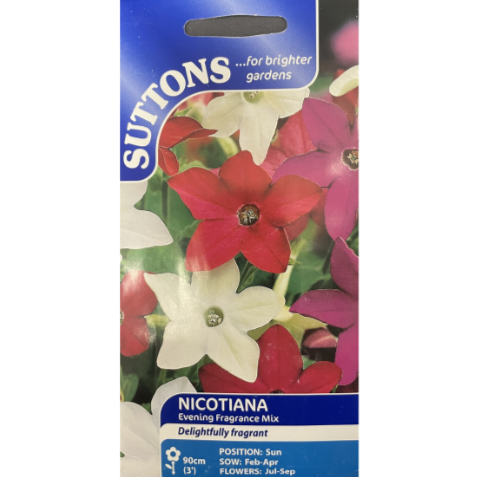 Suttons Seed Nicotiana Evening Fragrance Mix Pkg.