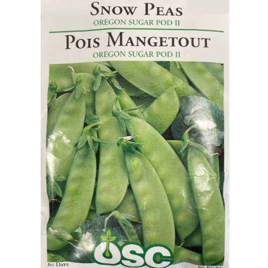 OSC Seeds Pea Snow Oregon Sugar Pod II