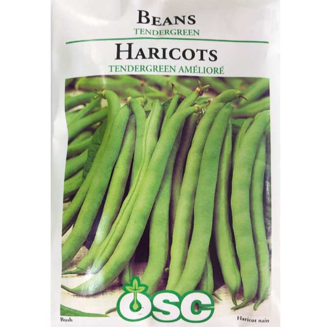 OSC Seeds Beans Tendergreen